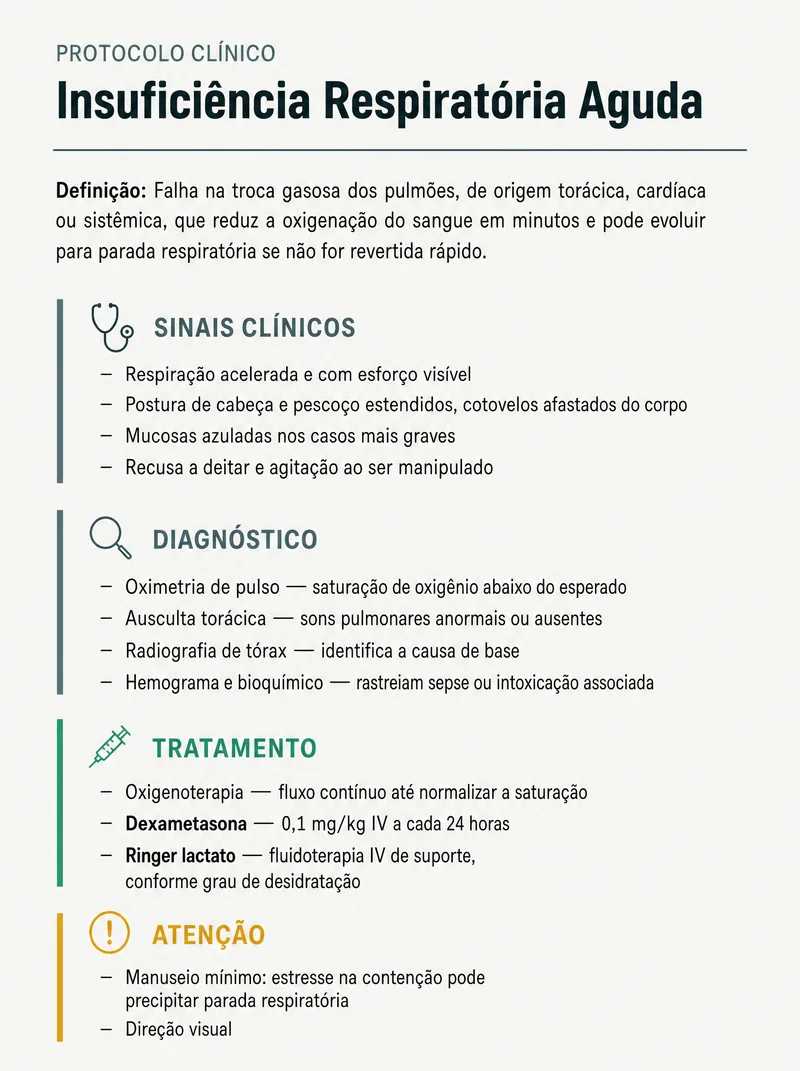 Página de exemplo do Protocolo de Plantão mostrando conteúdo explicativo com sinais clínicos e doses