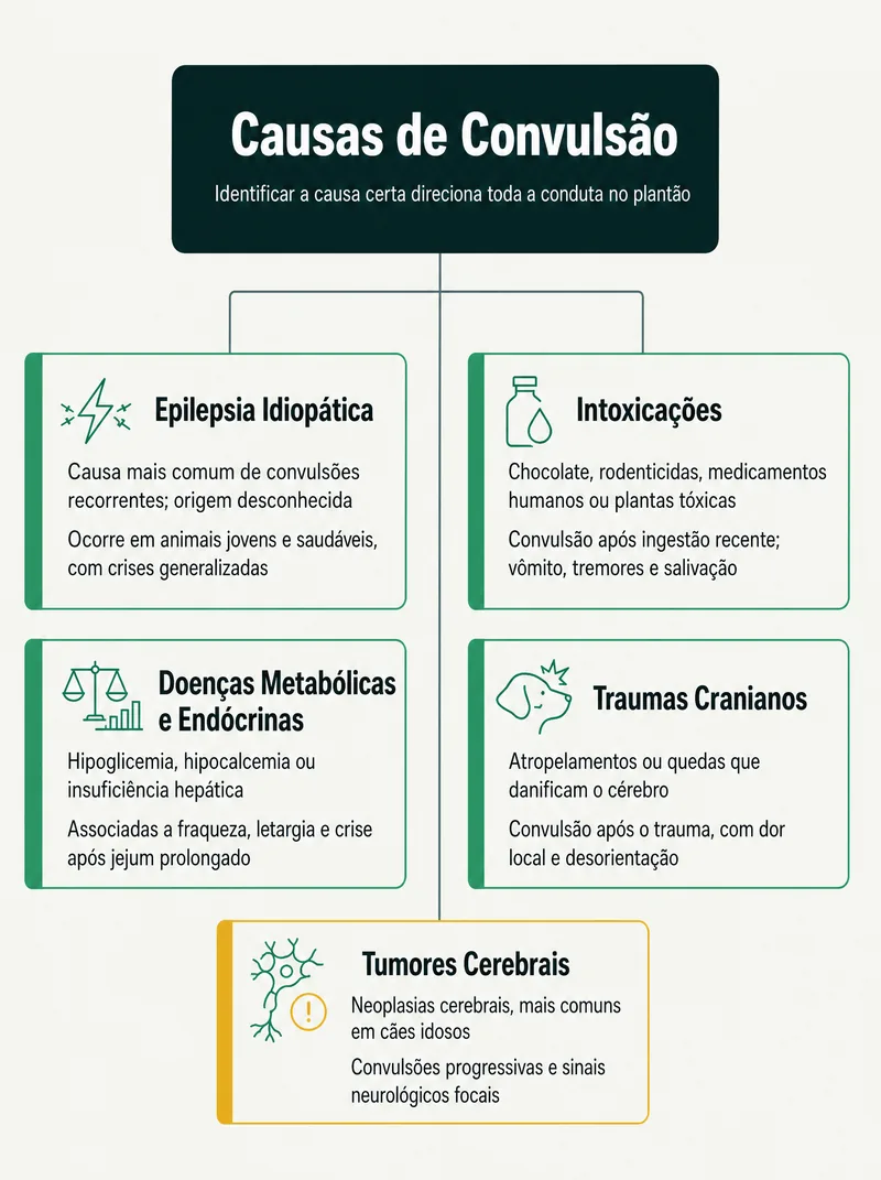 Página de exemplo do Protocolo de Plantão mostrando um mapa mental de causas de convulsão